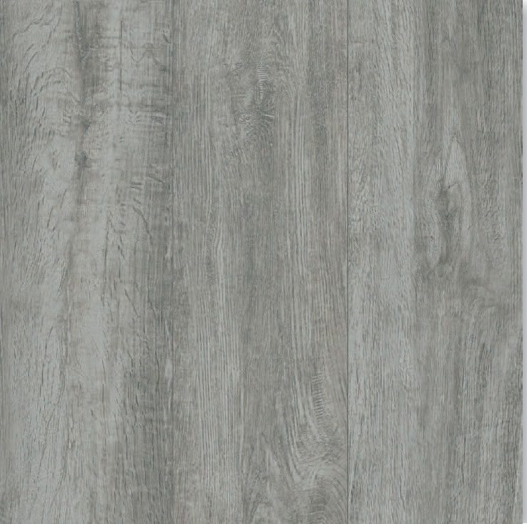 Gris R11/C
