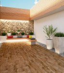 Vars - Wenge