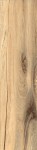Noyer
